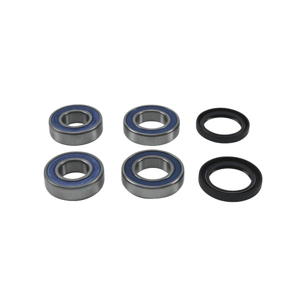 ALL BALLS WHEEL BEARING KIT25-1818