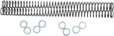 Race Tech Fork Springs - 0.32 kg/mm