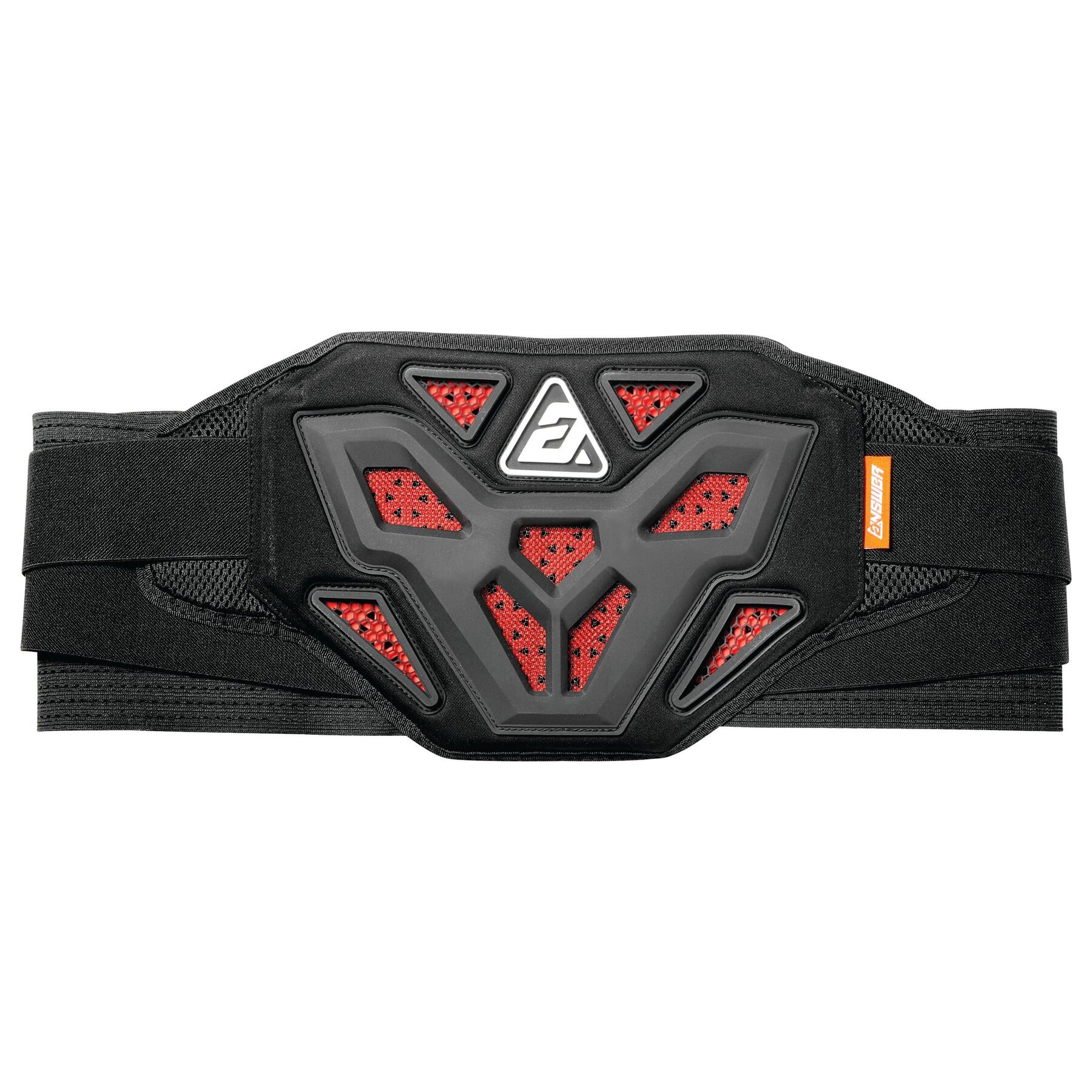 Answer Apex Kidney Belt